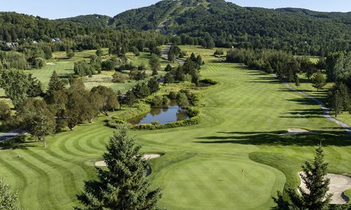 DCB-Golf-019-banniere_808x553