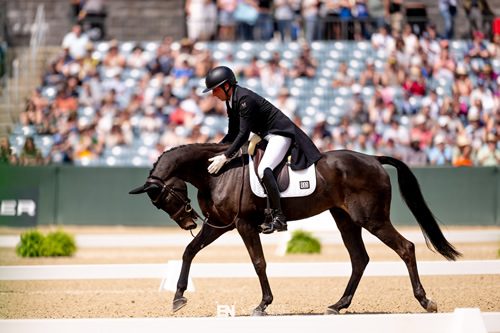 – Equestrian Park Bromont 3 - Equestrian Park Bromont 3