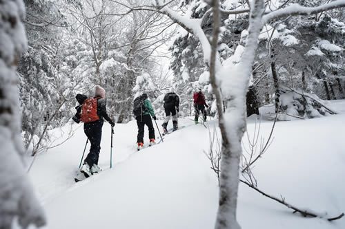 – Hiking Winter 2 - Hiking Winter 2