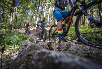 ParcSommets_Hummus-bromont-1 ParcSommets_Hummus-bromont-1