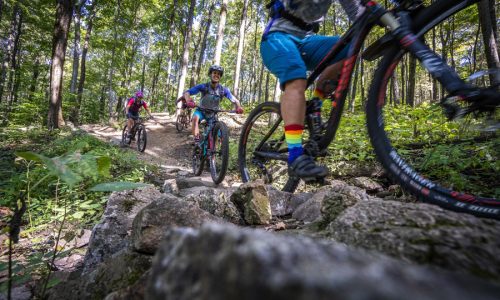 ParcSommets_Hummus-bromont-1