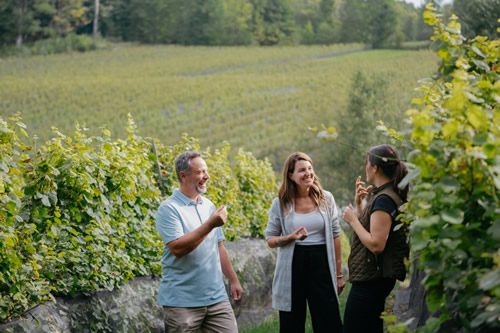 – Wine Route 2 - Wine Route 2